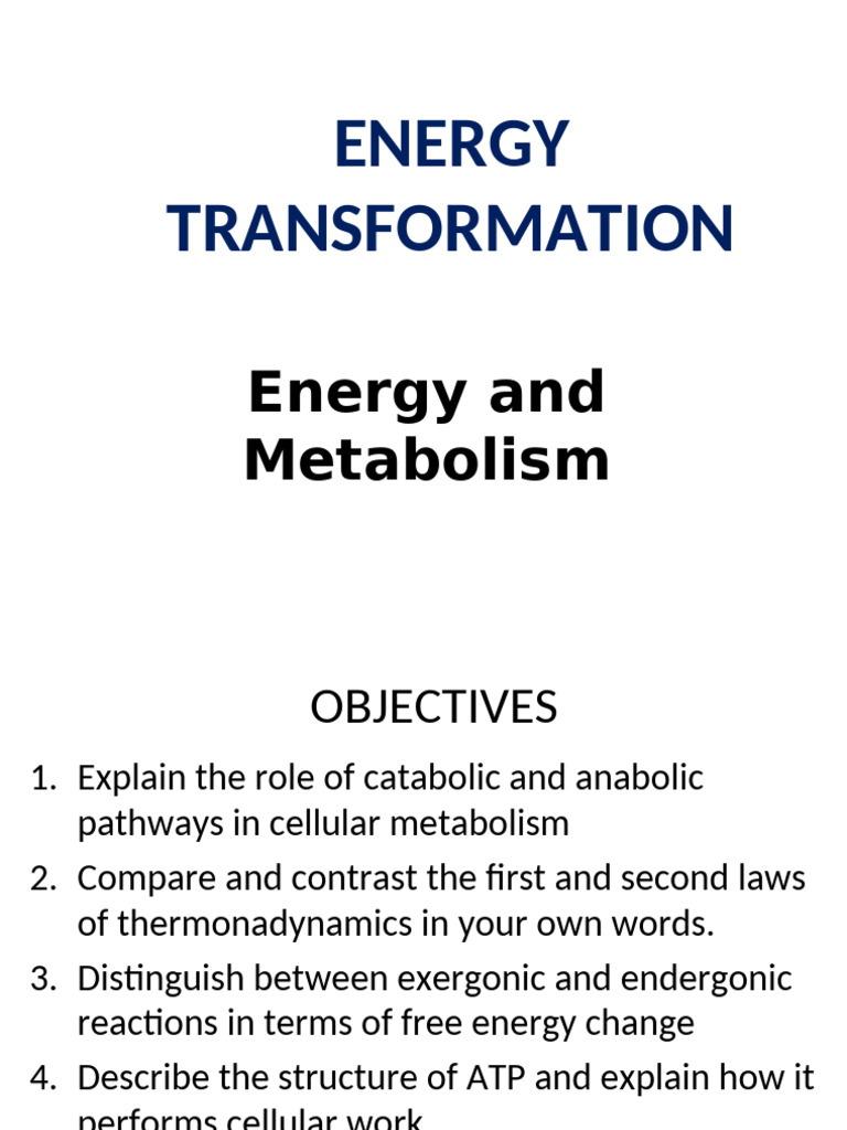 Energy Transformation in Metabolism | PDF | Metabolic Pathway ...