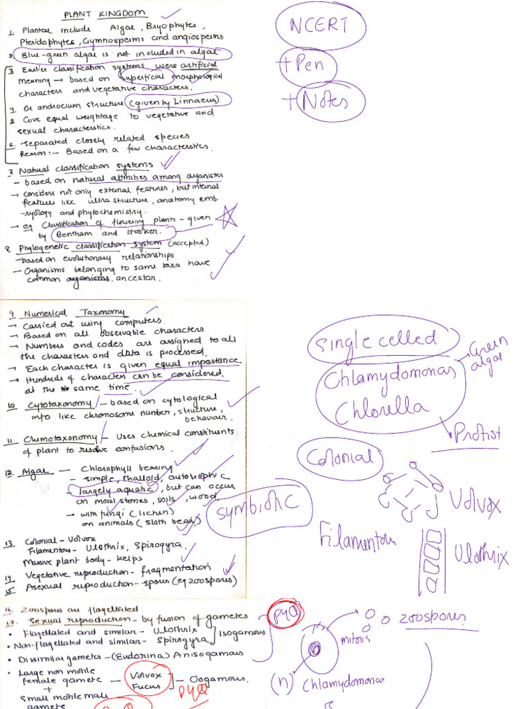 Plant Kingdom Overview Chart | PDF | Branches Of Botany | Horticultural ...
