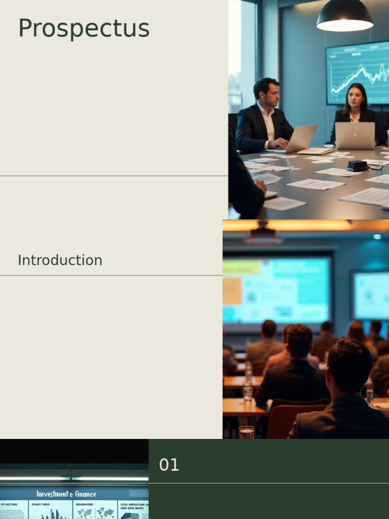 Understanding Investment Prospectuses | PDF