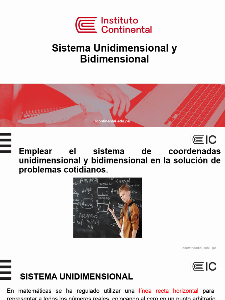 6. Sistema Unidimensional y Bidimensional.pptx | PDF | Sistema de ...