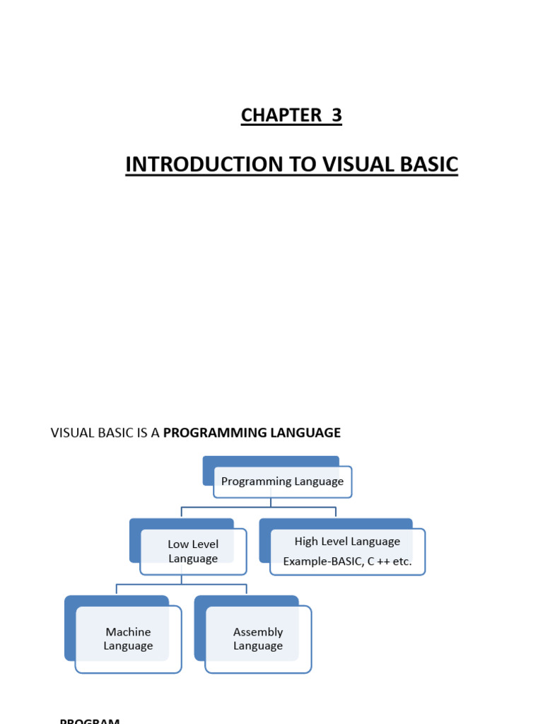 Introduction to Visual Basic Programming | PDF