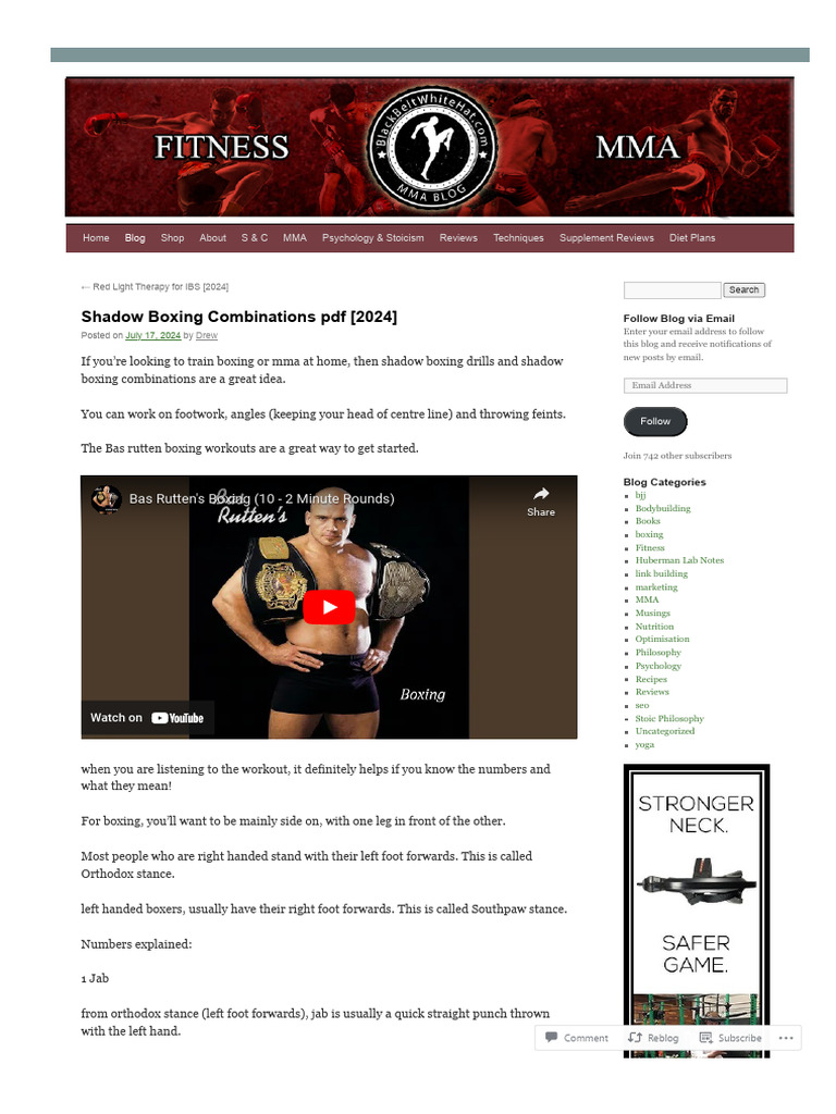 Shadow Boxing Combinations Guide PDF | PDF