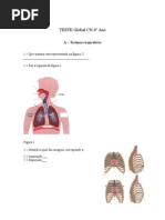 TESTE Global CN 6º Ano