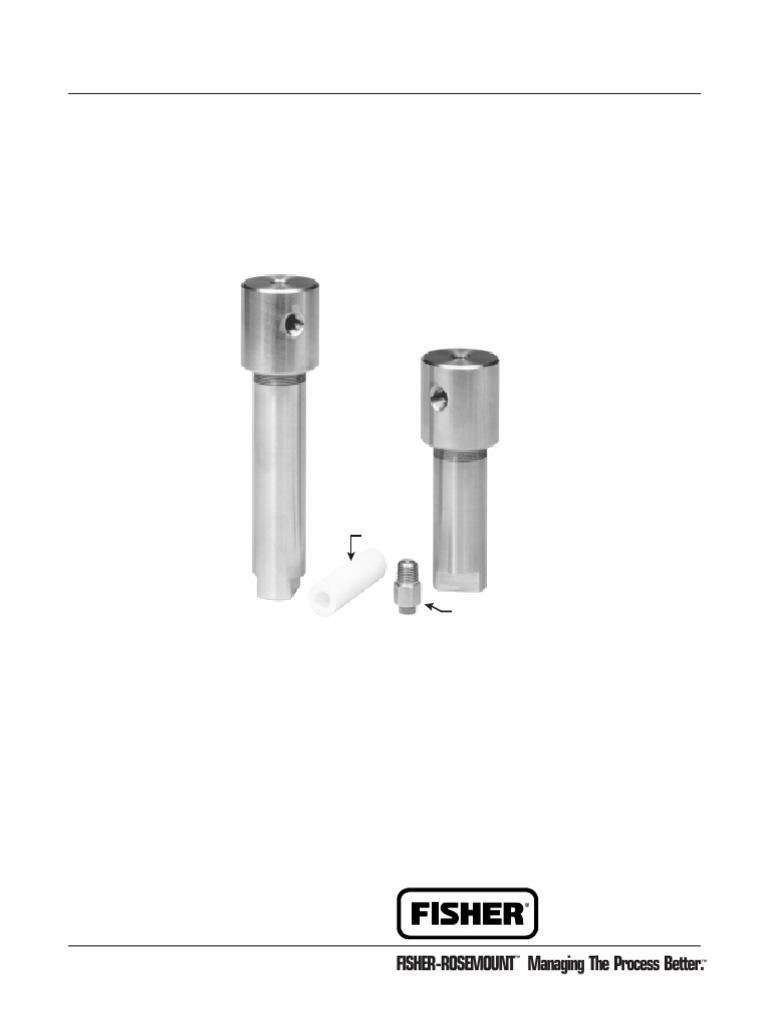 Fisher Type 252 Filter Overview | PDF | Valve | Filtration