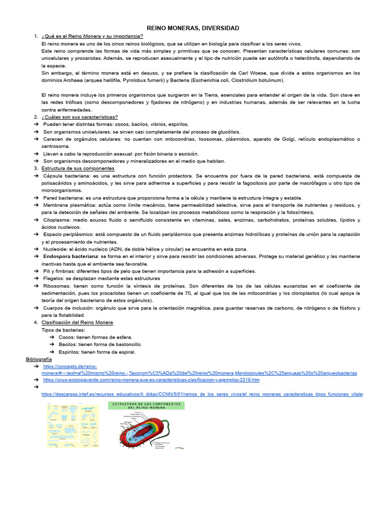 Reino Moneras, Diversidad | PDF | Las bacterias | Biología Celular)