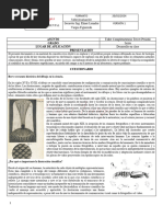 Dibujo de Mujeres Cientificas para Pintar | PDF | Aprendizaje | Ciencia, Tecnología, Ingeniería ...