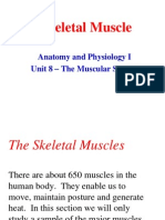 Sistem Otot Muskular 1 (Muscular System)