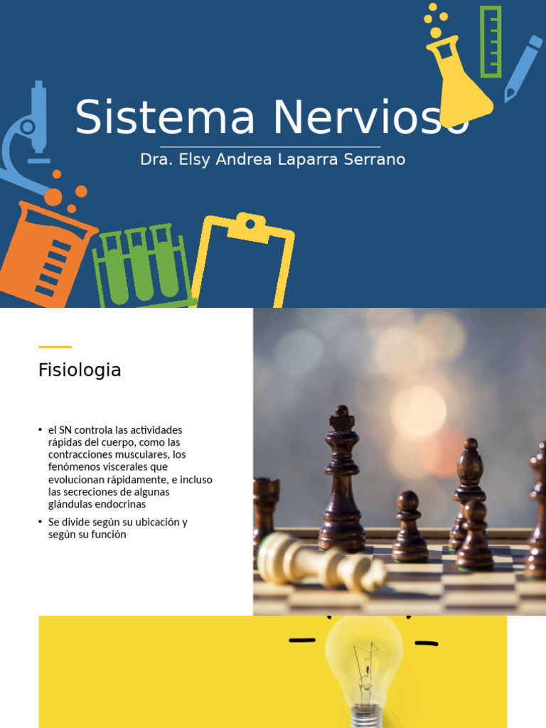 SIstema Nervioso LBCQ | PDF | Cerebro | Sistema nervioso central