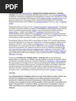 Download Rock Music Related Literature by Dianna Labayani SN85324808 doc pdf