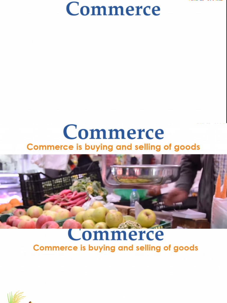 Ecommerce Pdf