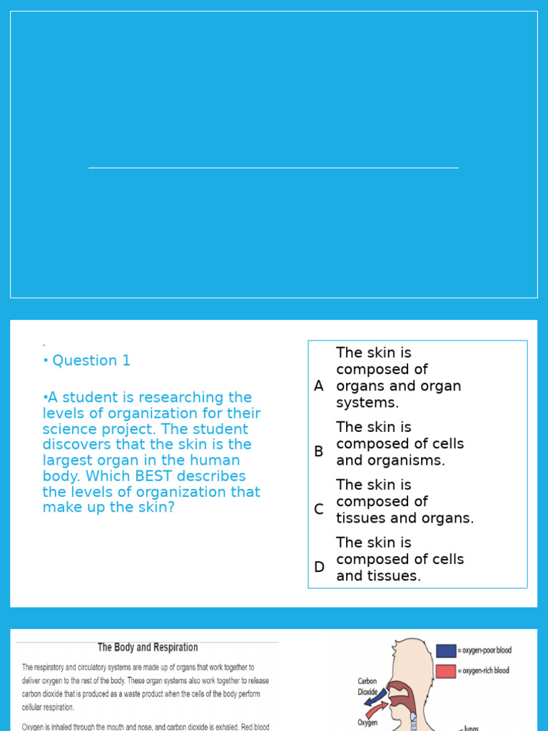 Quarter+3+Benchmark+Practice+Test | PDF