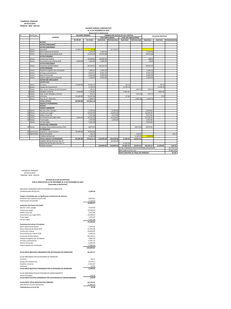 Balance General y Flujo de Efectivo 2020 | PDF | Hoja de balance | Bancos