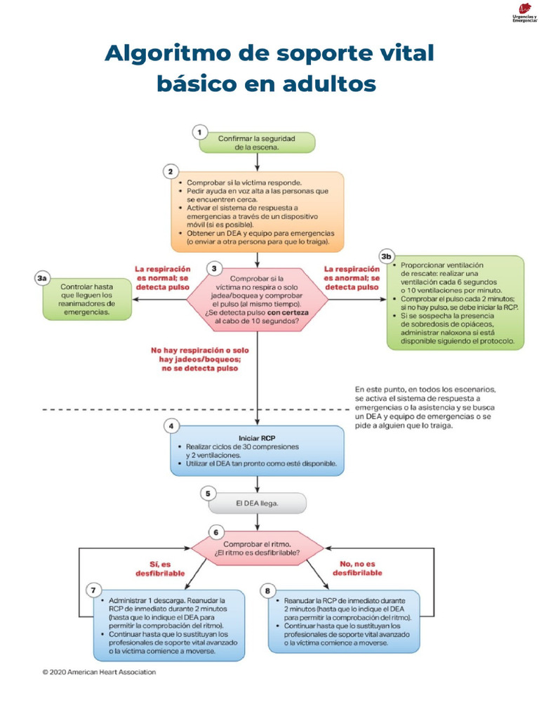 Algoritmos AHA 2020 para Imprimir Conv | PDF