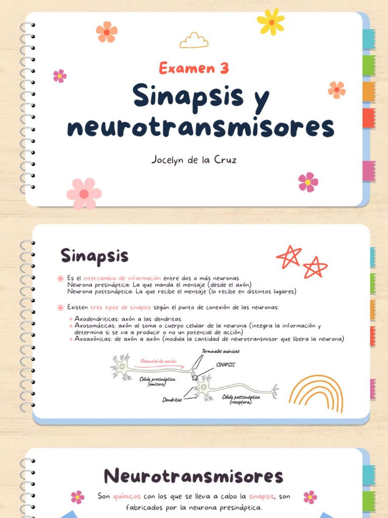 Copia de Sinapsis y Neurotransmisores - 20250423 - 213433 - 0000 | PDF ...