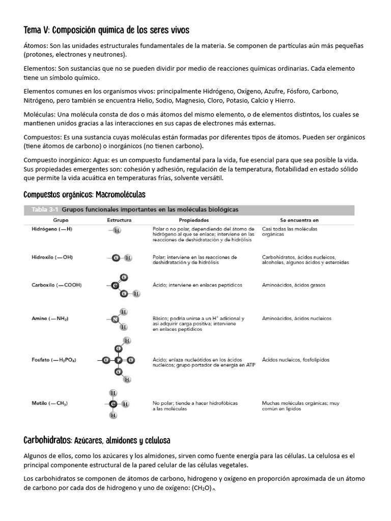 Tema 5 Composición Química de Los Seres Vivos | PDF | Lípido | Nucleótidos
