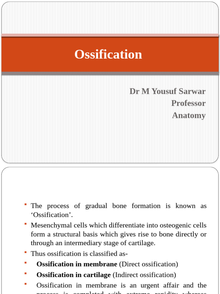Understanding Bone Ossification Processes | PDF | Bone | Osteoblast
