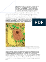 Vacuoles Are Organelles of Plant