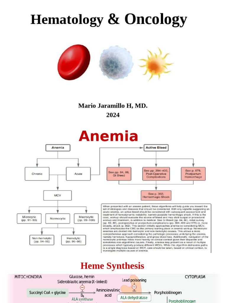 Comprehensive Guide to Anemia Types | PDF | Anemia | Medical Specialties