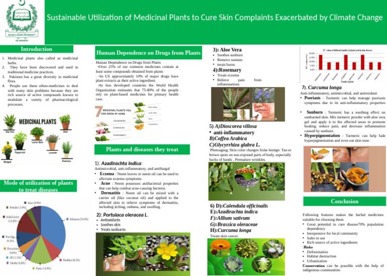Sustainable Utilization of Medicinal Plants To Cure Skin | PDF ...