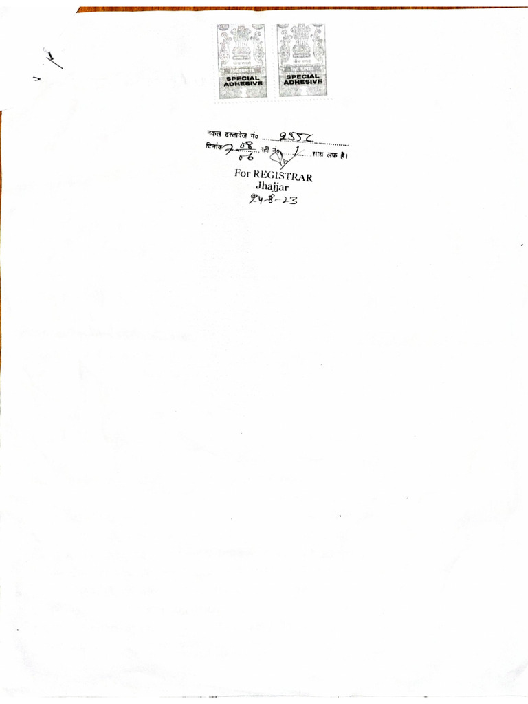 Document 31 | PDF