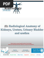 Gerota's Fascia: Anatomy and Imaging Insights | PDF | Kidney | Medical ...
