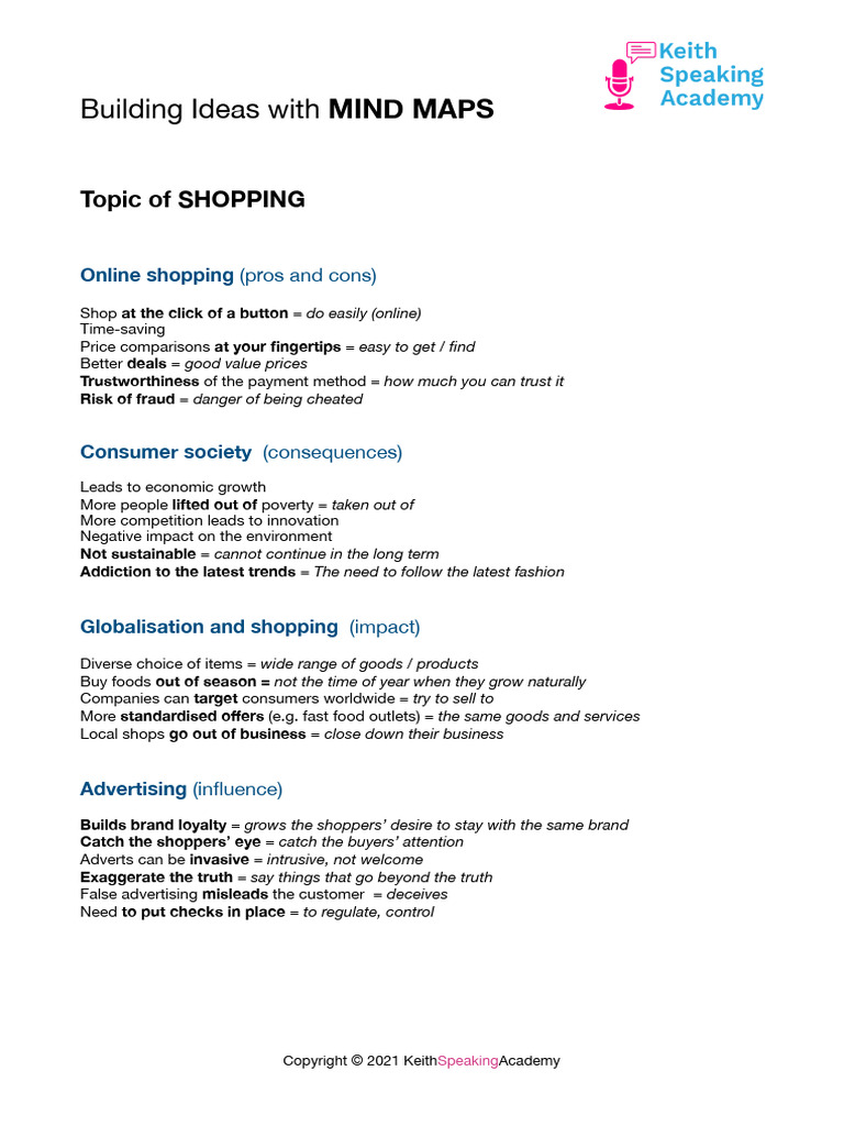 Shopping Mind Map Insights | PDF
