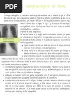 Radiografía Normal de Tórax: Anatomía y Criterios | PDF | Tórax | Pulmón