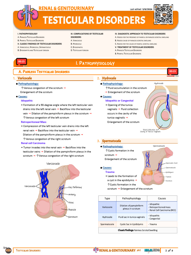 Testicular Disorders Overview and Treatment | PDF | Testicle | Clinical ...
