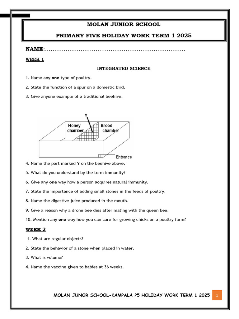 P5 Holiday Work Package Term 1 2025 | PDF | Beehive