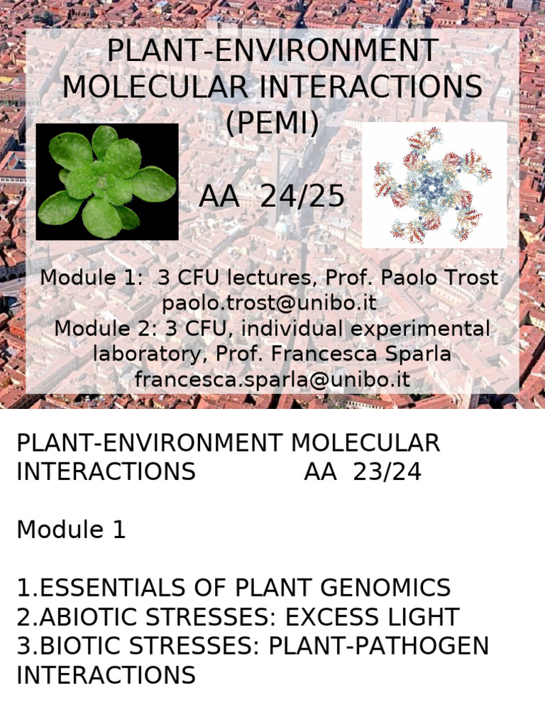 Plant-Environment Molecular Interactions | PDF | Plants | Arabidopsis ...