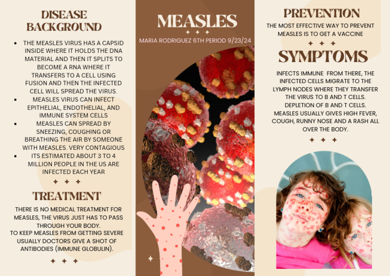 Measles Virus Infection and Prevention | PDF