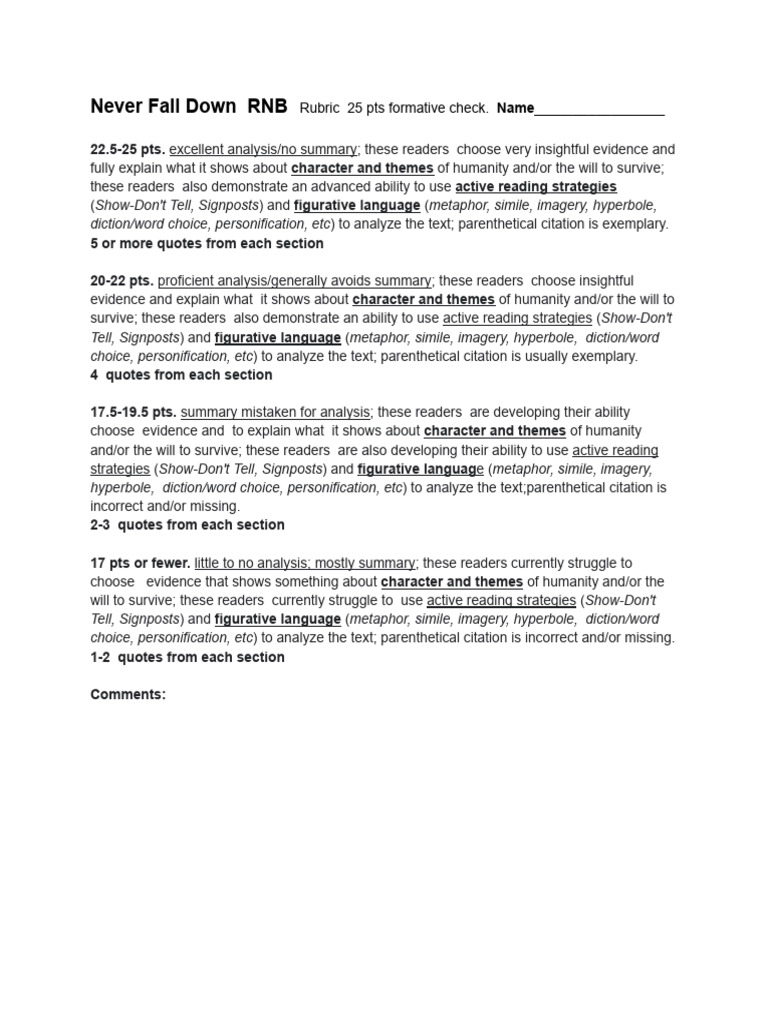 Never Fall Down RNB Rubric (Formative) PDF