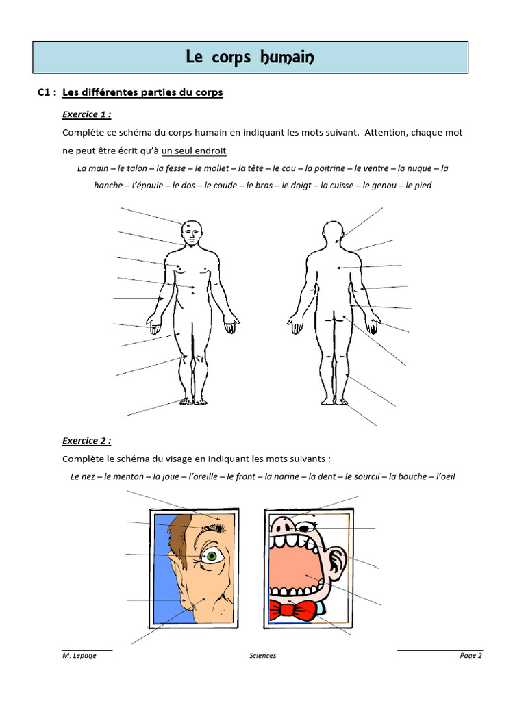 Exercices sur le corps humain à compléter | PDF