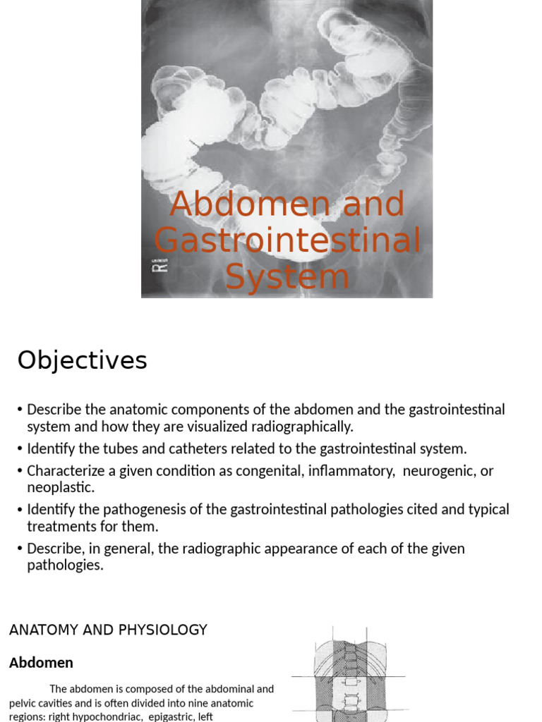 GI System Anatomy and Imaging Techniques | PDF | Esophagus | Stomach