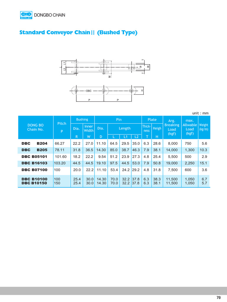 Bushed Type Conveyor Chain Specs | PDF