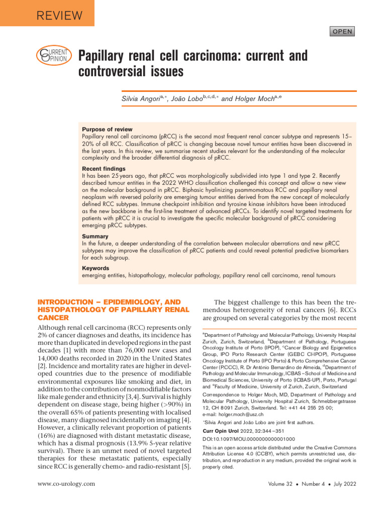 Papillary Renal Cell Carcinoma Insights | PDF | Epidermal Growth Factor ...