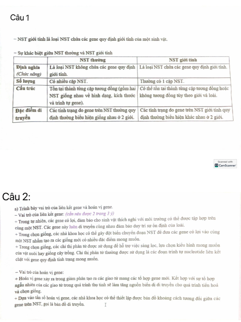 Sinh | PDF
