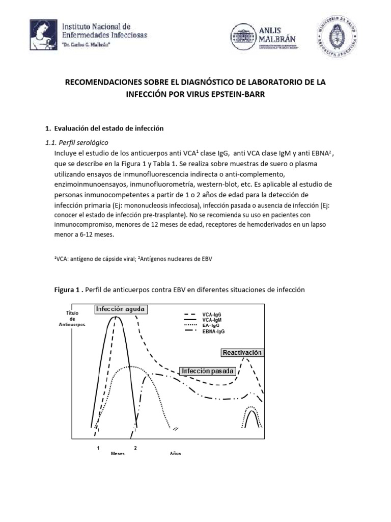 Diagnóstico de Infección por EBV en Laboratorio | PDF | Anticuerpo | Virus