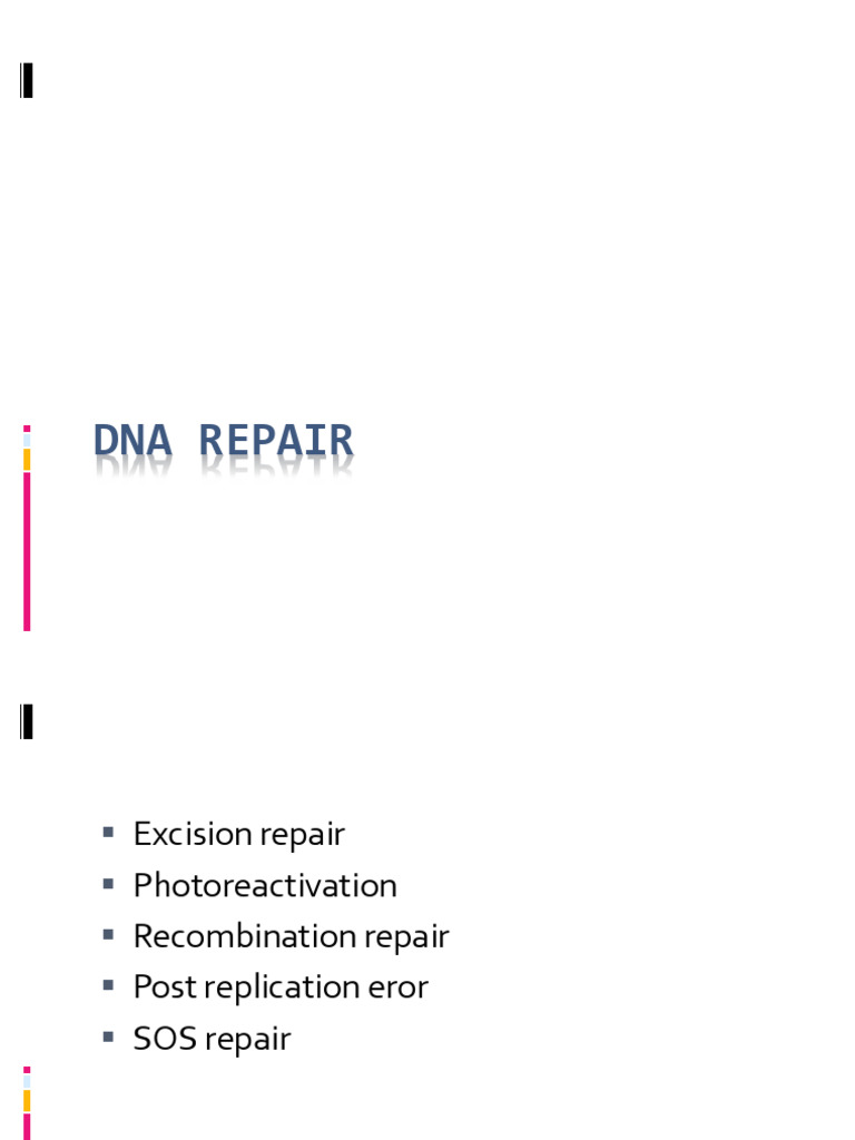 13-Mismatch Repair Homologous Recombination and Non Homologous End ...