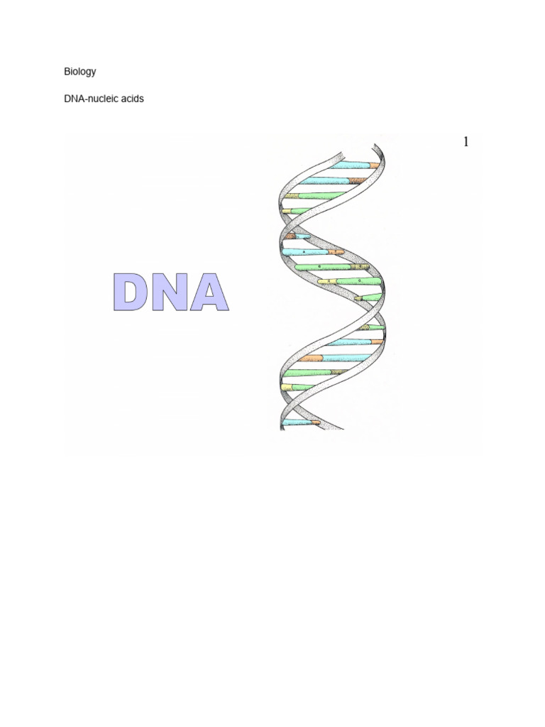 Rosalind Franklin's Impact on DNA Discovery | PDF | Francis Crick ...