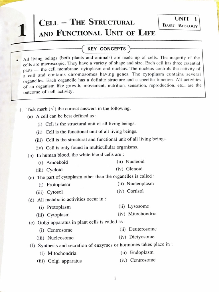 Cell Structure and Function Overview | PDF | Cell (Biology) | Cytoplasm