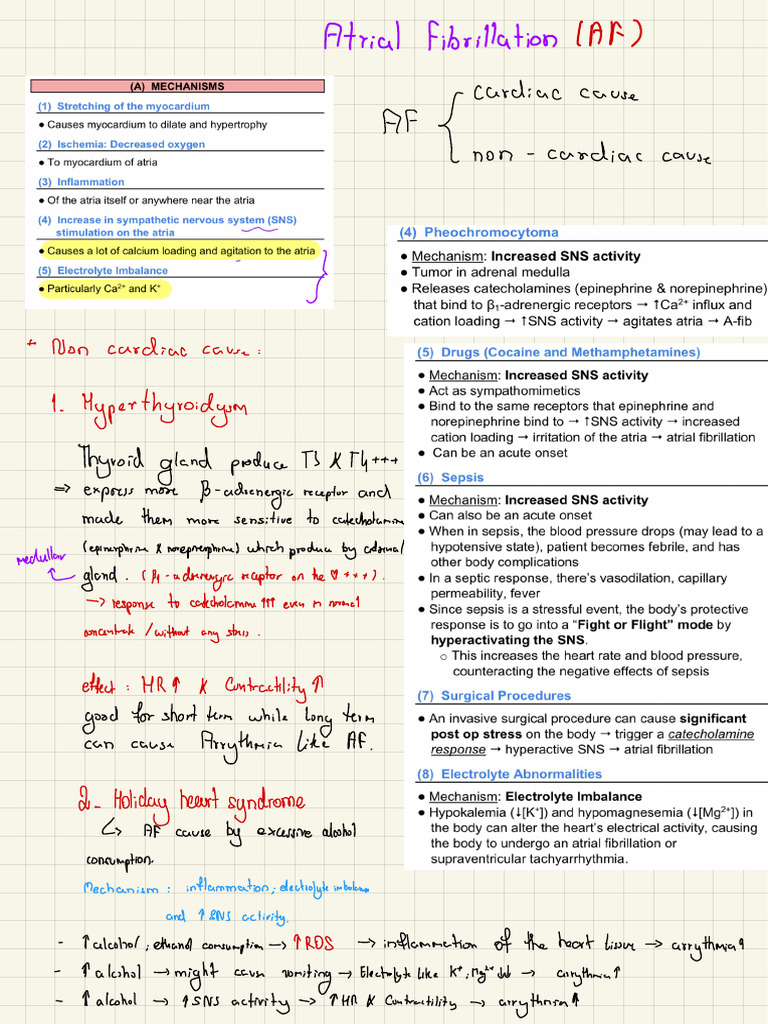 Physiology and Pathophysiology Note | PDF | Glands | Medical Specialties