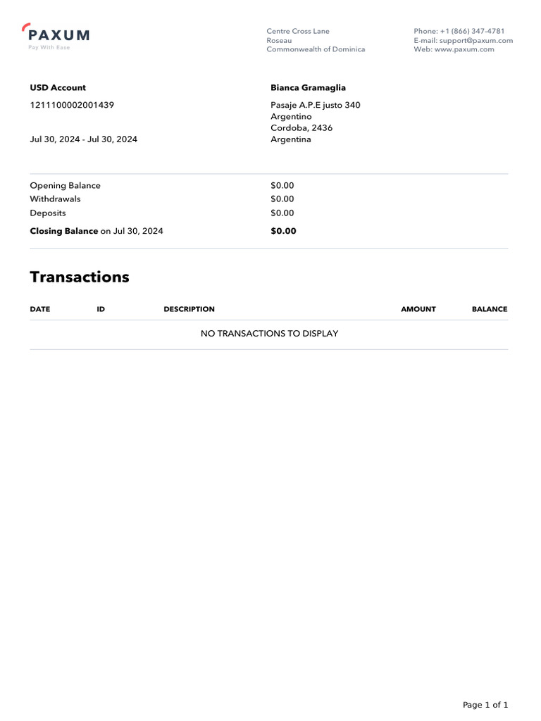 USD Account Summary - No Transactions | PDF