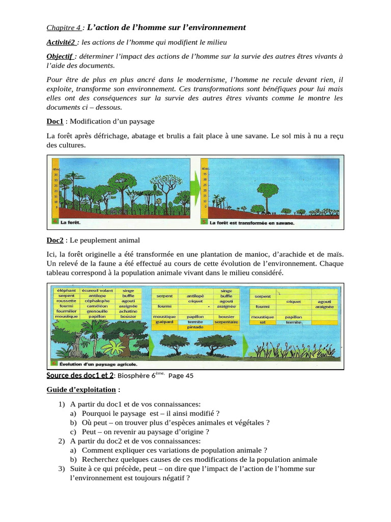 Impact des actions humaines sur l'environnement | PDF | Environnement ...