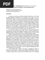 Reconstrução e Digitalização de Paraphysornis brasiliensis_1