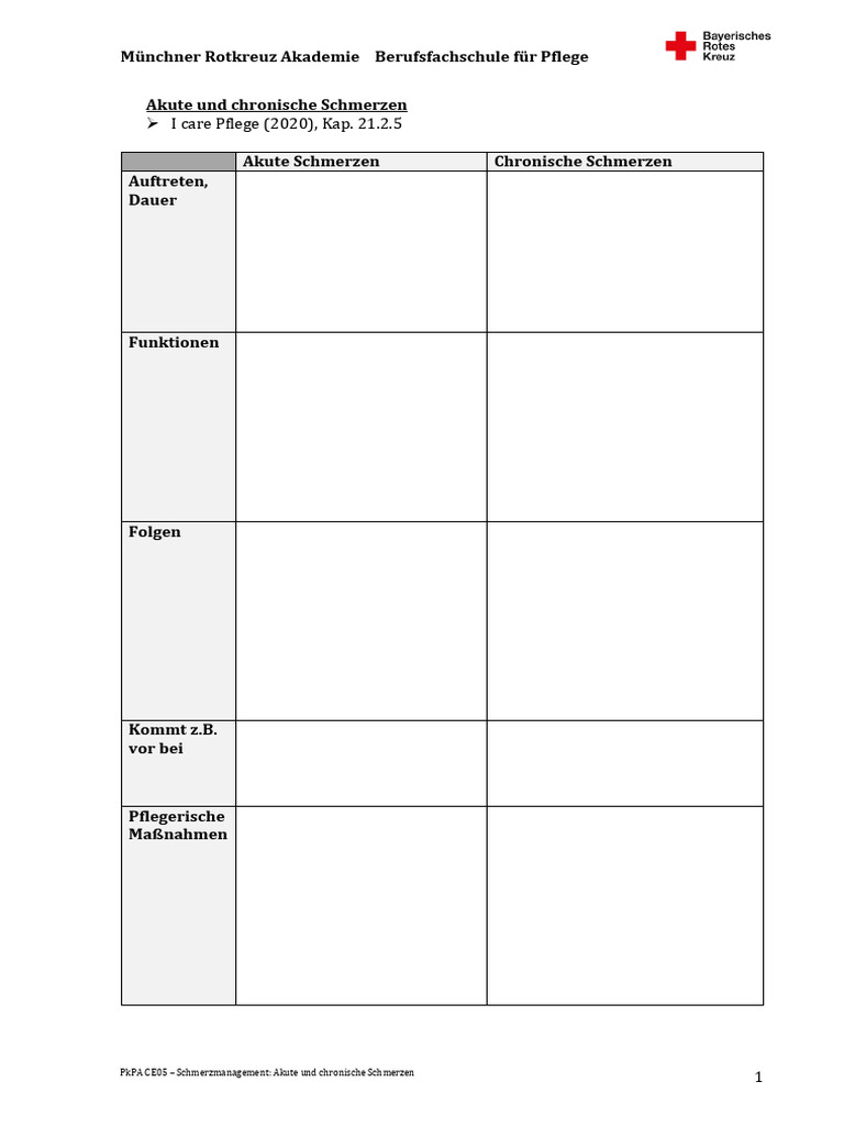 Arbeitsblatt Chronische Und Akute Schmerzen | PDF