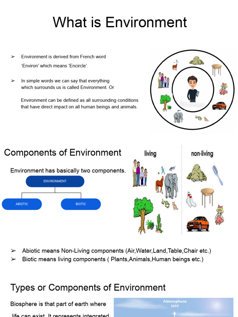 Understanding Environment Components | PDF | Atmosphere Of Earth ...