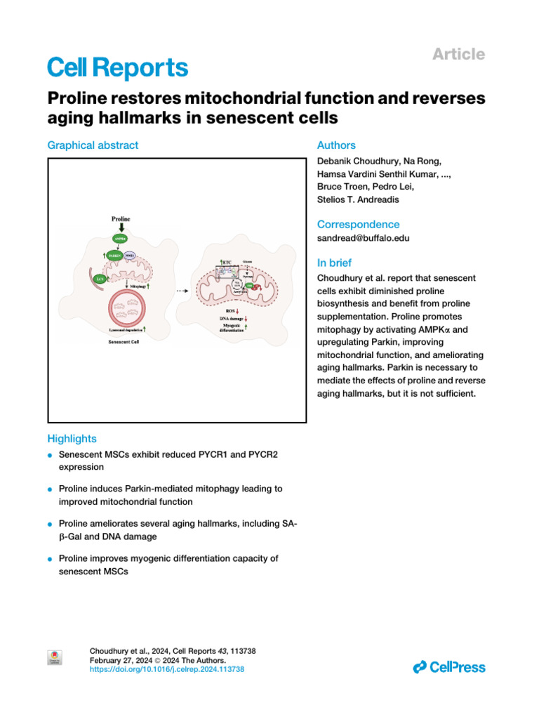 Choudhury Et Al, 2024. Proline Restores Mitoc Function and Reverses ...