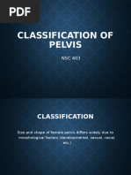 Four Types of Pelvis Explained | PDF | Pelvis | Anatomy