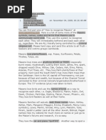 Download HOW to SPOT a MASON Globalization and the Plan for NWO by Issues that Matter Most SN8536569 doc pdf